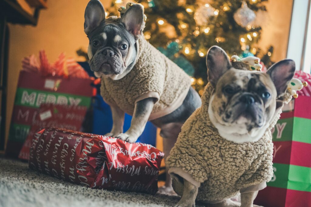 Pet Supplies